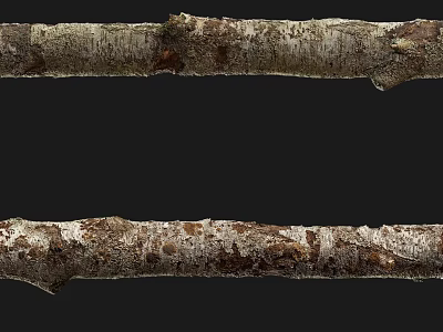 tree root moss bark tree dry tree 3d model tree root moss bark tree dry tree 3d model