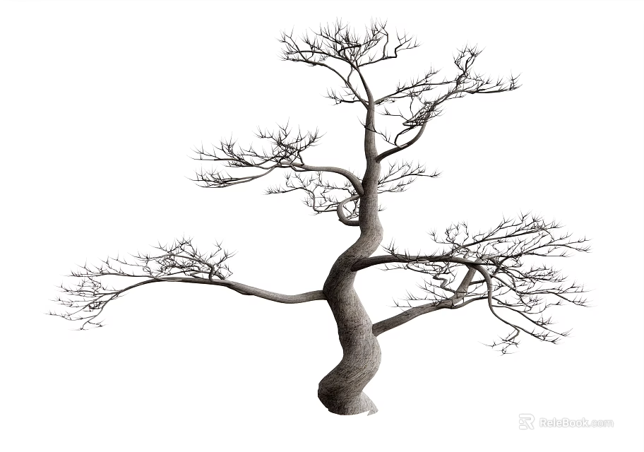 Leafless Tree With Curved Trunk And Slender Branches Isolated On White Background 3d model 