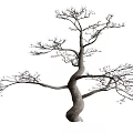 Modern Dead Tree Sculpture Root Carving Tree Dead Wood 3d model