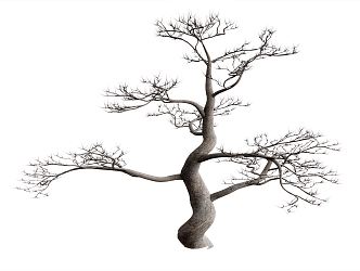 Modern Dead Tree Sculpture Root Carving Tree Dead Wood 3d model