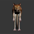 Aardvark with Brown and White Stripes Long Snout Big Ears and Slender Legs