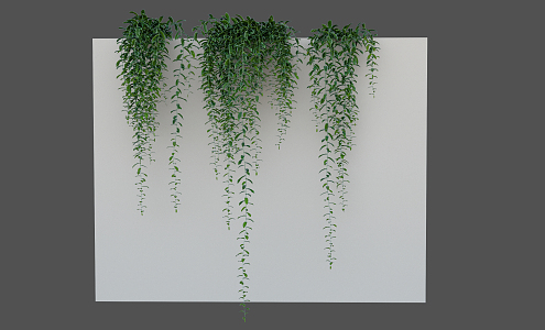 Modern Vine Climbing Vine 3d model