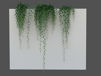 Modern Vine Climbing Vine 3d model