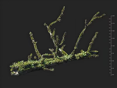 Modern stump fish tank landscaping dead tree dead branch moss 3d model
