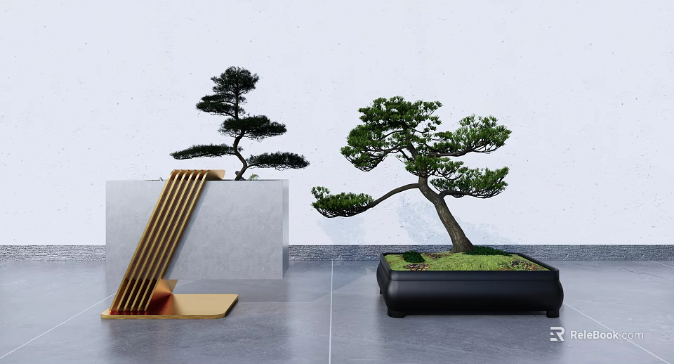 Pine Bonsai Trees In Black Rectangular Pot And Gray Square Base With Golden Strip Decor 3d model