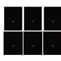 Stylish Black Double Doors With Golden Handles And Various Panel Designs 3d model