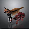 Orange and white cat dragging red plaid toy with red gloves on dark surface