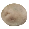 Four Fresh Potatoes With Natural Skin Texture Healthy Vegetable For Cooking