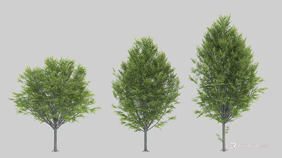 Three Arbor Trees With Lush Green Foliage For Outdoor Landscape Design 3d model 
