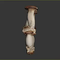 Modern Mushroom Shiitake Straw Mushroom Poisonous Mushroom 3d model