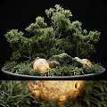 Garden Landscape Design with Lush Trees Mossy Rocks and Small Green Plants 3d model