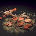 Natural Landscape With Scattered Red Rocks Driftwood And Dry Grass