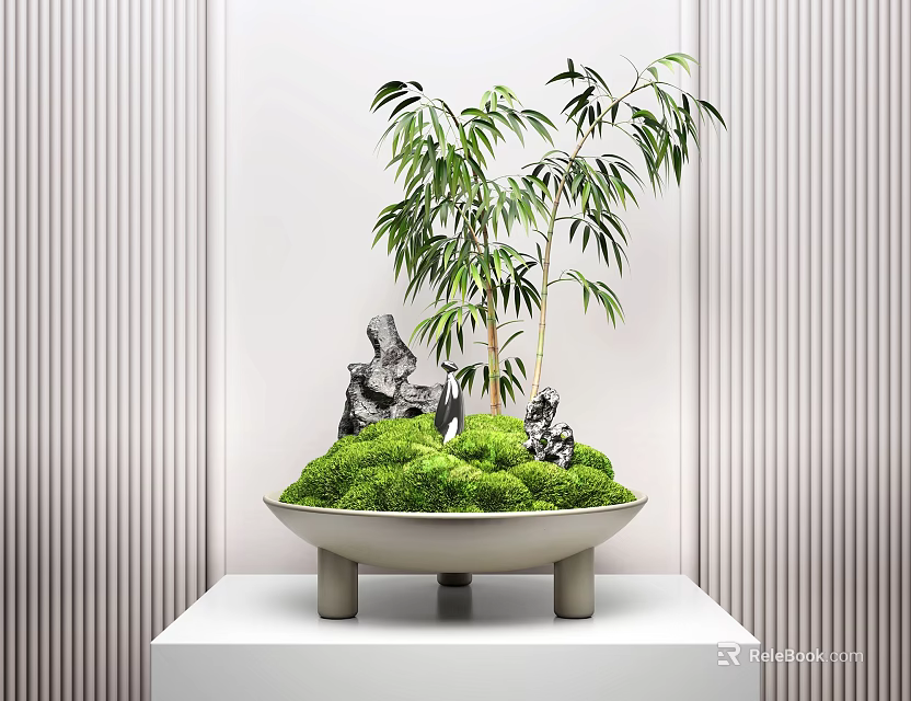 Decorative Indoor Bonsai Plant Featuring Green Moss Bamboo and Rocks on White Stand 3d model 