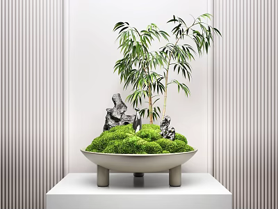 Decorative Indoor Bonsai Plant Featuring Green Moss Bamboo and Rocks on White Stand 3d model