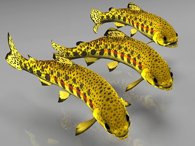Three Vibrant Yellow Spotted Fish With Red And Black Stripes Swimming In Water 3d model