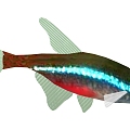 Fish 3d model