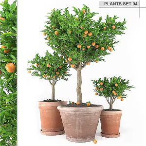 Modern gardening sketch orange tree pot plant 3d model