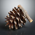 Detailed Pine Cone With Intricate Scales Natural Brown Texture And Wooden Stem