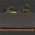 Miniature Moss Landscape In Rectangular Wooden Box With Green Moss And Small Plants