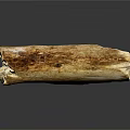Natural Plant Wood Log With Smooth Texture And Brown Tones On Black Surface