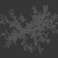Pink Blossom Tree with Detailed Branches on Black Background and Scale Ruler