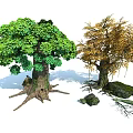 Lush Green and Golden Leaf Arbor Trees with Exposed Roots and Surrounding Stones
