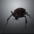 Rhinoceros Beetle With Large Horns And Shiny Dark Exoskeleton On Black Background