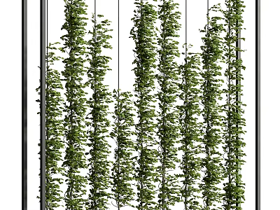 Green Plant Wall With Lush Vertical Foliage For Indoor Decorative Living Design 3d model