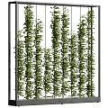 Green Plant Wall With Lush Vertical Foliage For Indoor Decorative Living Design