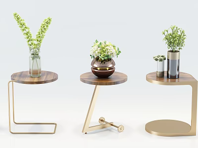 Round Side Tables With Wooden Tabletop Gold Metal Frame And Green Plant Decoration 3d model