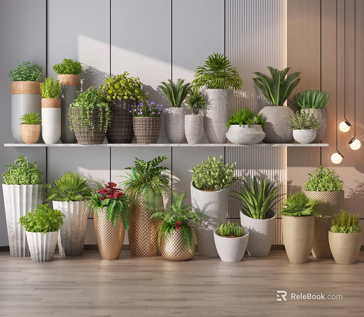 Various Types Of Modern Minimalist Potted Bonsai Plants In Different Planters On Shelves And Floor 3d model 