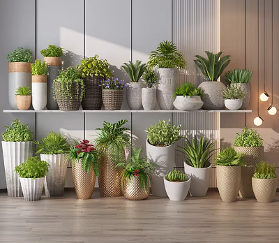 Various Types Of Modern Minimalist Potted Bonsai Plants In Different Planters On Shelves And Floor 3d model