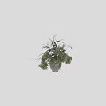 Decorative Ornament Set with Natural Pine Needles and Branches in Rustic Ceramic Vase 3d model
