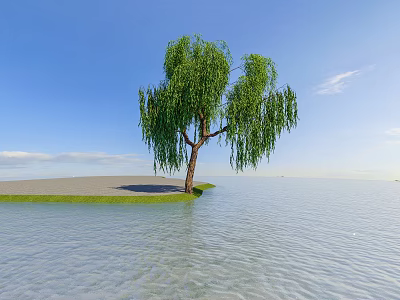 Willow Tree With Drooping Green Branches By Calm Water Under Blue Sky And White Clouds 3d model