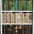 Colorful Books Neatly Arranged On Multiple Bookshelves With Various Colored Spines