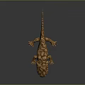Brown Spotted Lizard on Dark Surface with Shiny Reflection and Detailed Skin
