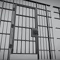 Sturdy Metal Barred Gates With Secure Locks For Safety And Security 3d model