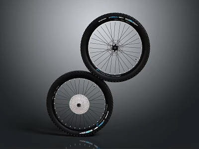 Pair of Mountain Bike Wheels With Black Tires And Spoke Design Structure 3d model