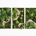 Green Plant Wall Art Decor With Wooden Path And Various Green Plants