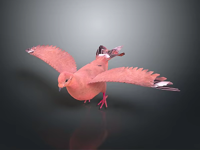 Pink Pigeon Animal Painting with Spread Wings on Dark Background and Reflection 3d model