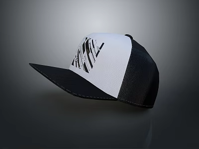 Modern Black And White Cap With Abstract Line Pattern Design For Daily Use 3d model
