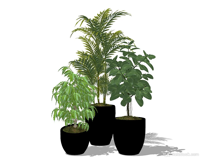 Indoor Potted Plants In Black Pots With Lush Leaves And Various Sizes 3d model 