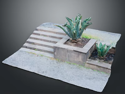 Outdoor Garden Scene With Stone Steps Square Planter And Agave Plants 3d model