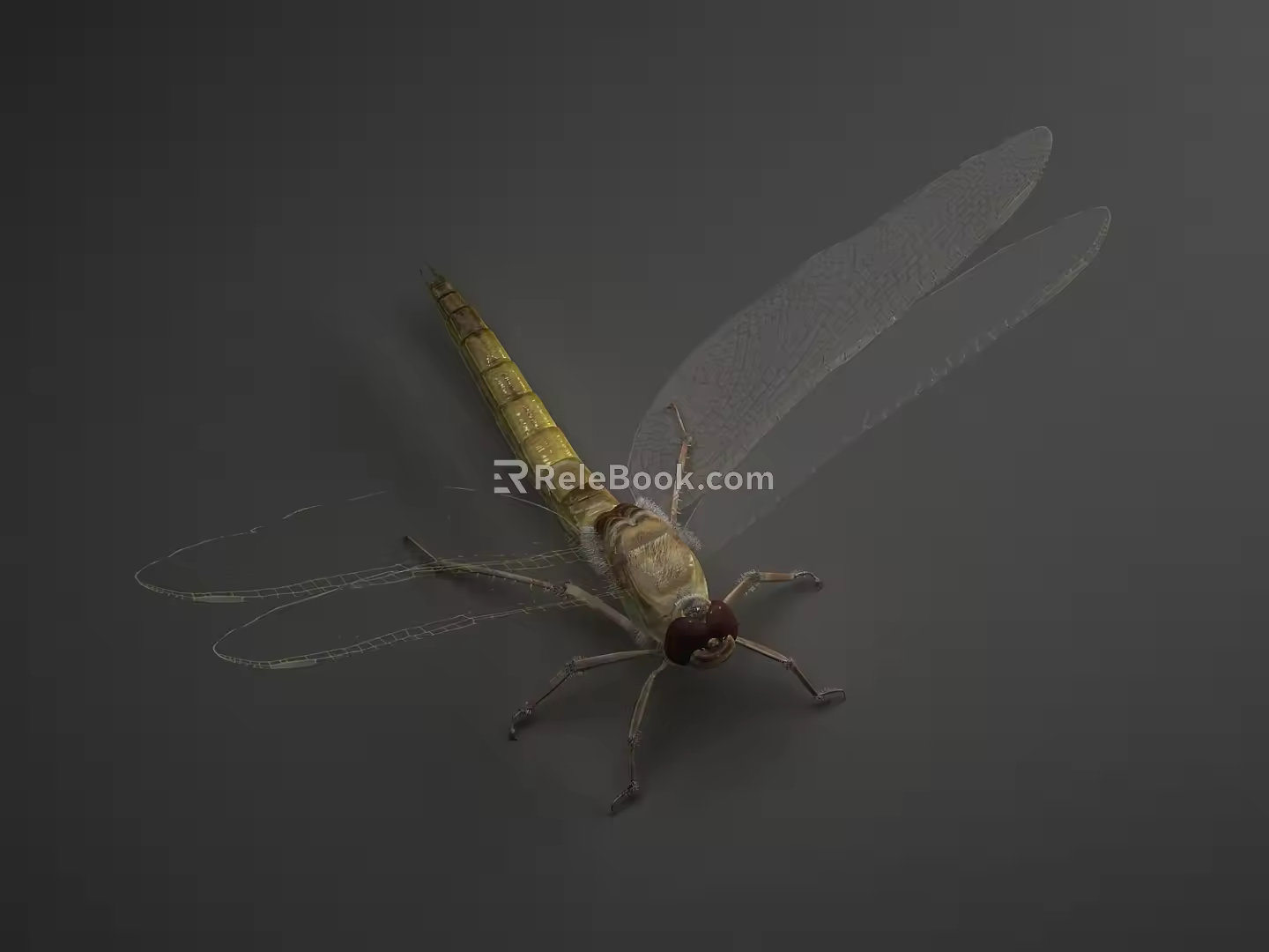 modern dragonfly 3d model