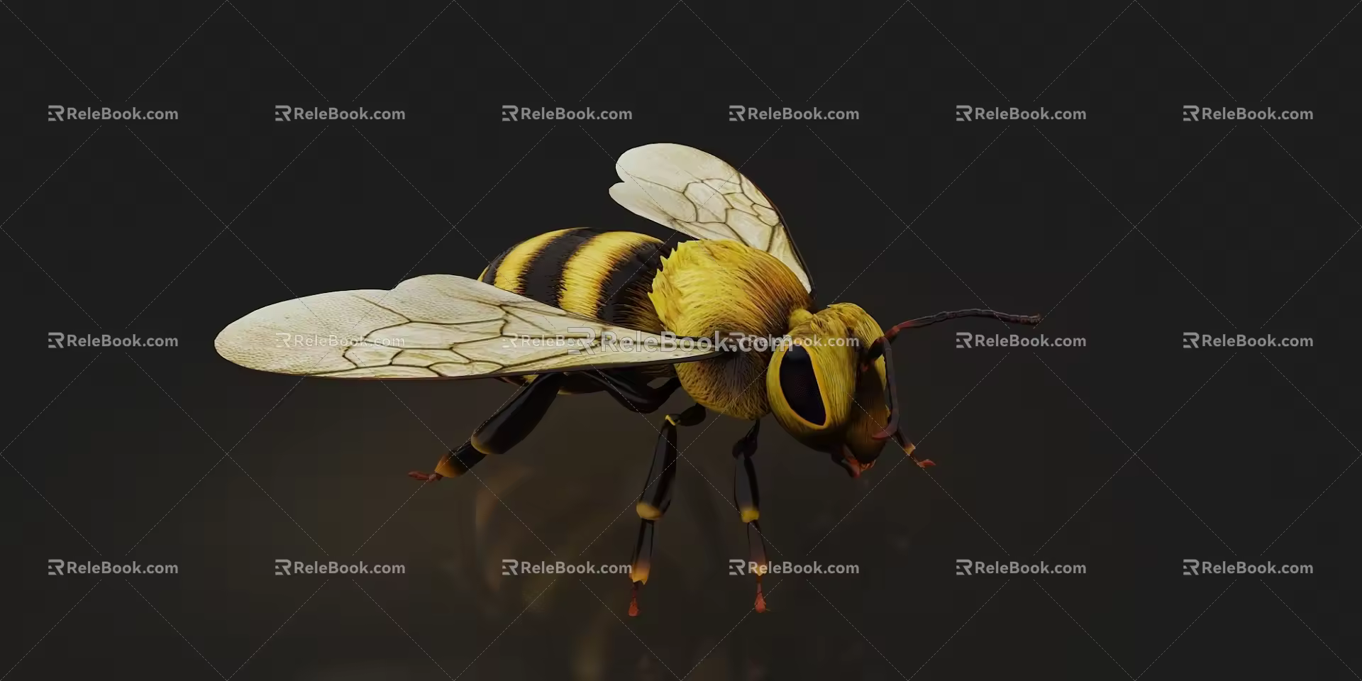 Bee Flying 3d model