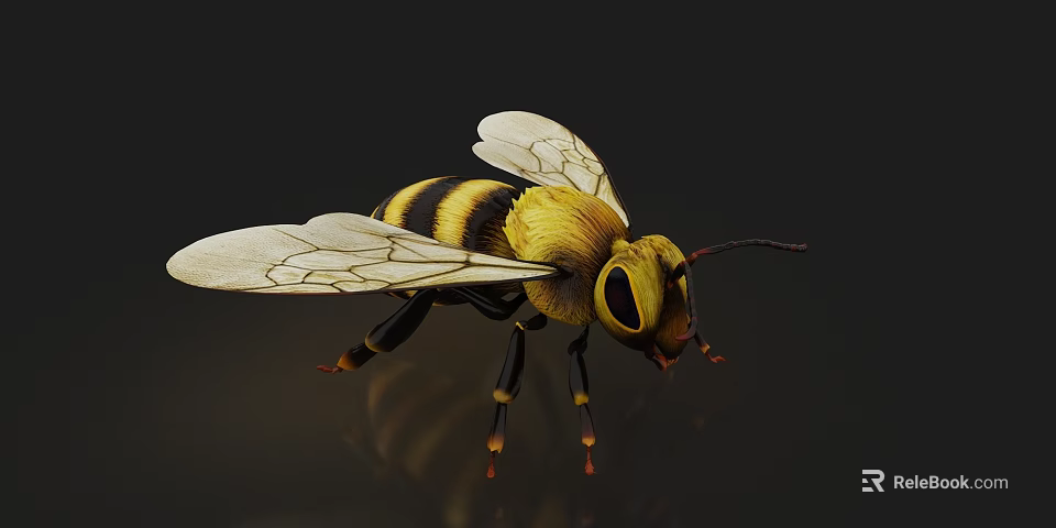 Detailed 3D Rendered Bee With Yellow Black Stripes Transparent Wings And Large Compound Eyes 3d model 