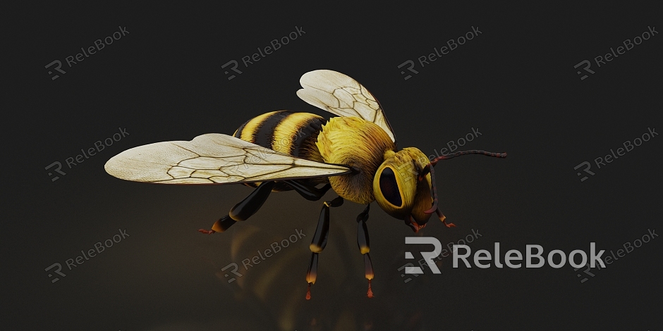 Bee Bee Flying model