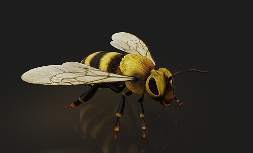 Bee Flying 3d model