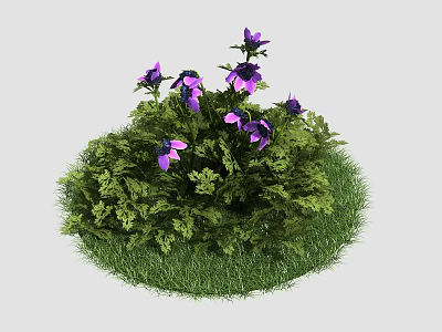 Beautiful Vibrant Purple Flowers Growing In Lush Green Grass Garden Patch 3d model