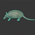 Reptile Armadillo With Scaly Shell Standing On Black Surface With Reflection